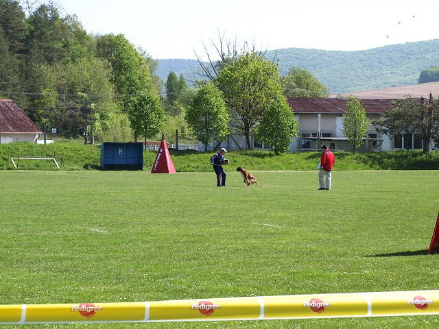 www.atibox.net * www.euroboxer.eu * www.boxergenealogia.eu